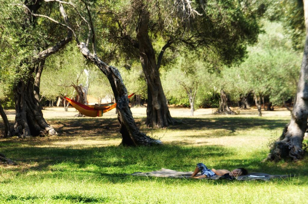 Bed & Breakfast Fresh* Sheets Kathedral Dubrovnik
