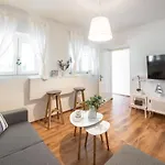 Apartment Near Old Town, Free Parking & Huge Garden