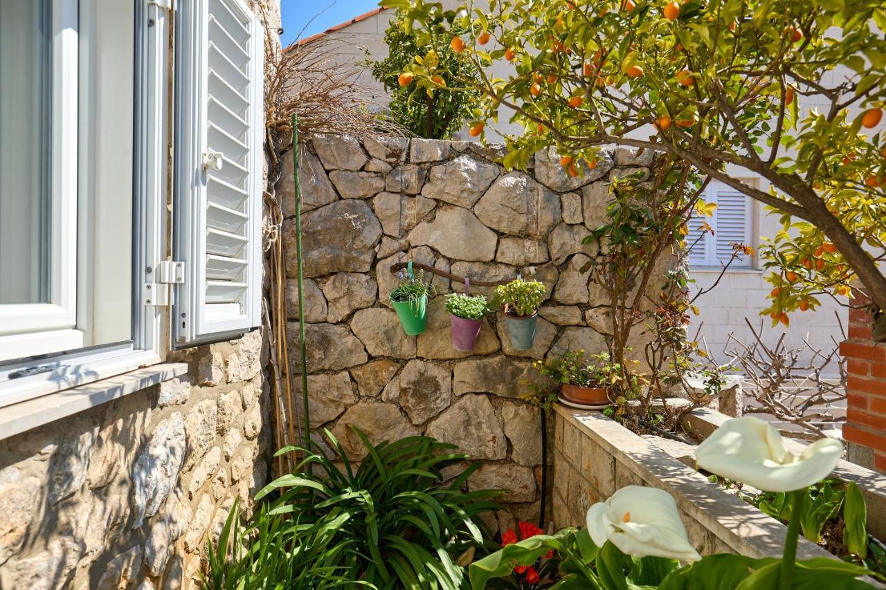 Argosy Near Old Town With Sea View And Free Parking Apartment *