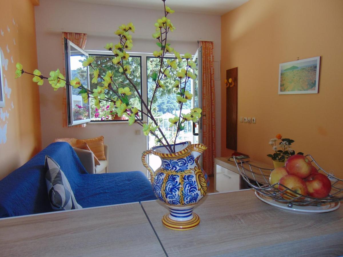 Apartment Elelu *