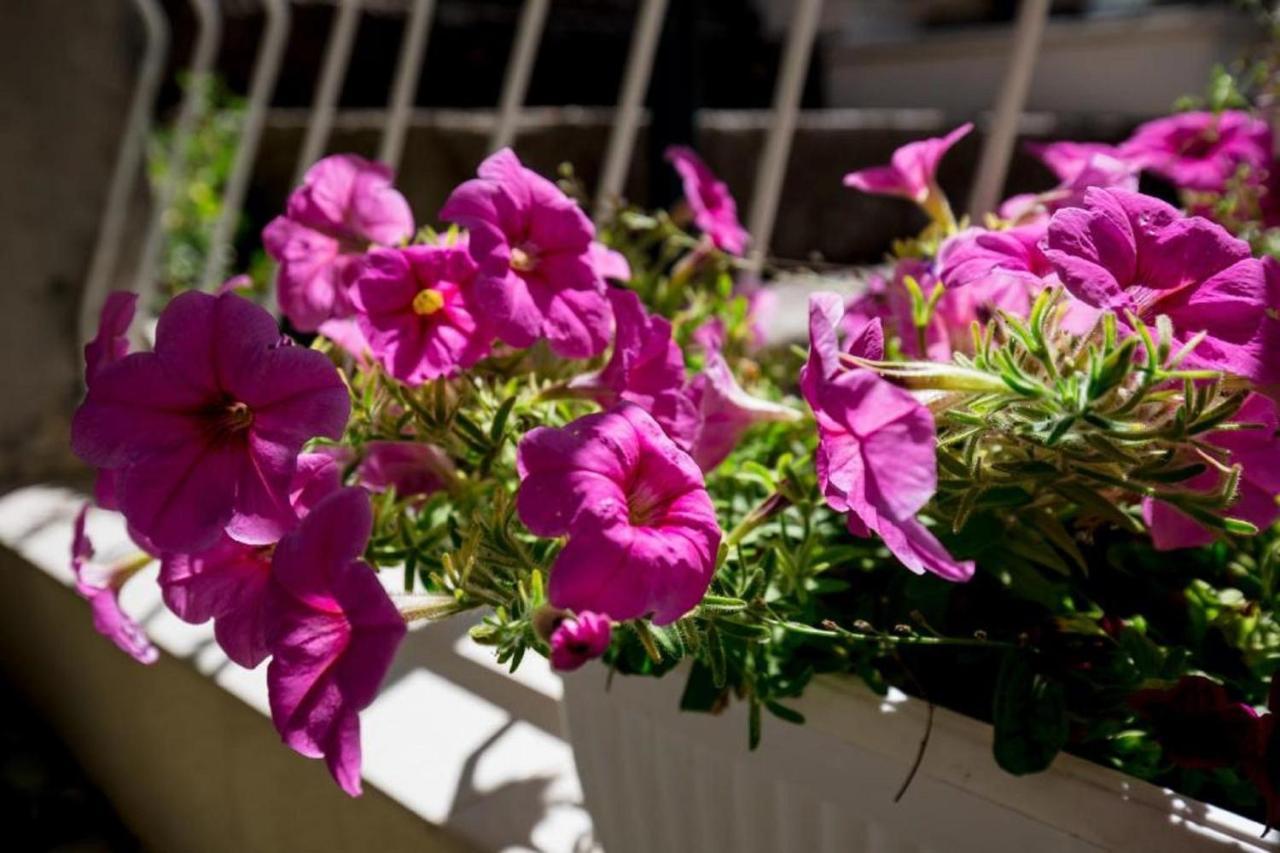 Guest house Batina Dubrovnik
