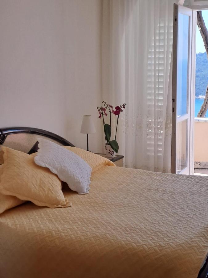 Amazing & Sea View Guest house Dubrovnik