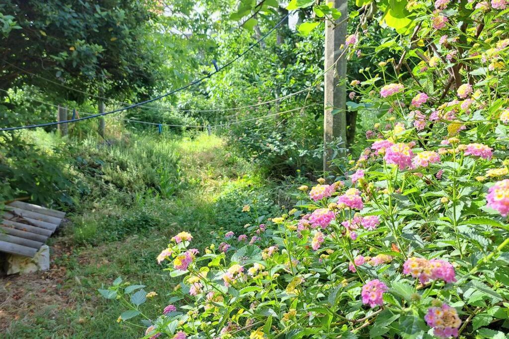Apartamento Renaissance With Terrace & Garden