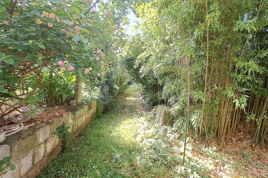 Apartamento Renaissance With Terrace & Garden *