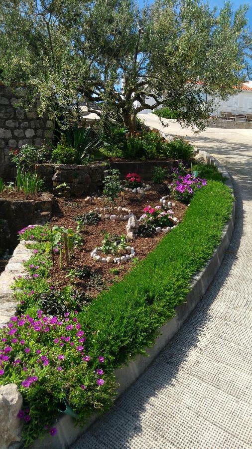 Eight Roses Guest house Dubrovnik