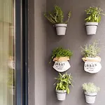 Lenka Apartment