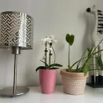 Studio Apartment Michelle