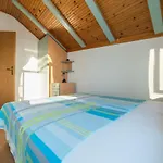 Holiday Nest
