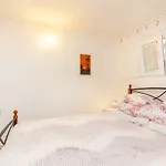 Studio Ibis