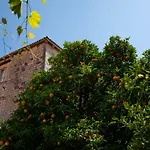 Apartman Jelena
