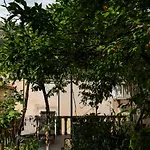 Apartman Jelena