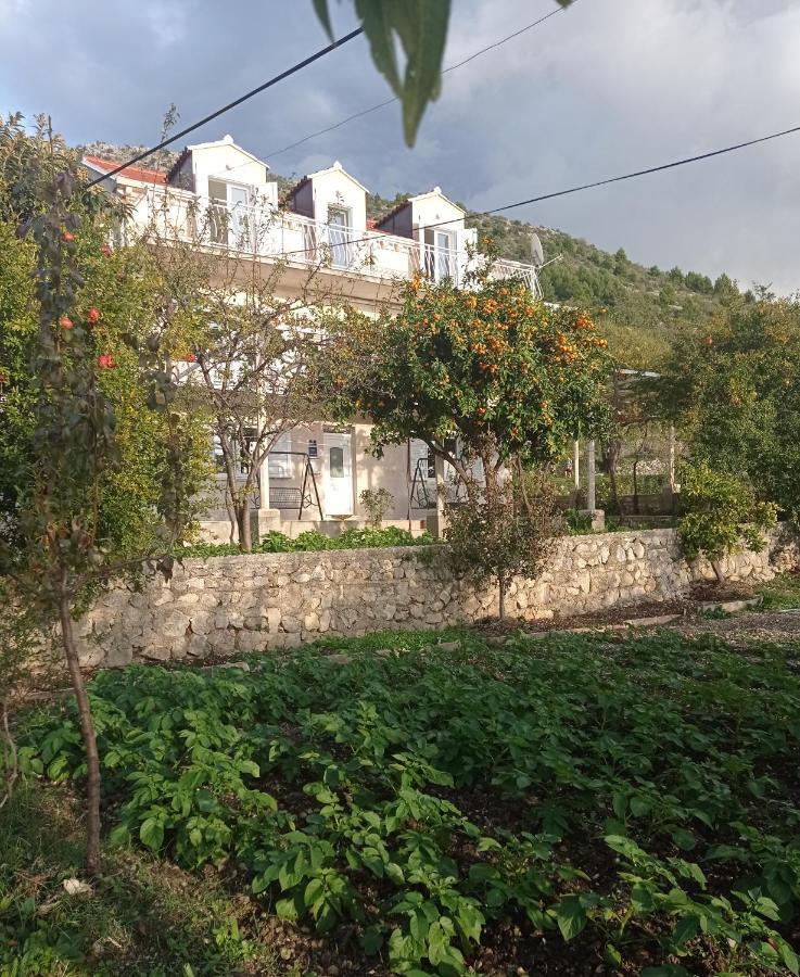 Apartment Lucija With Sea View