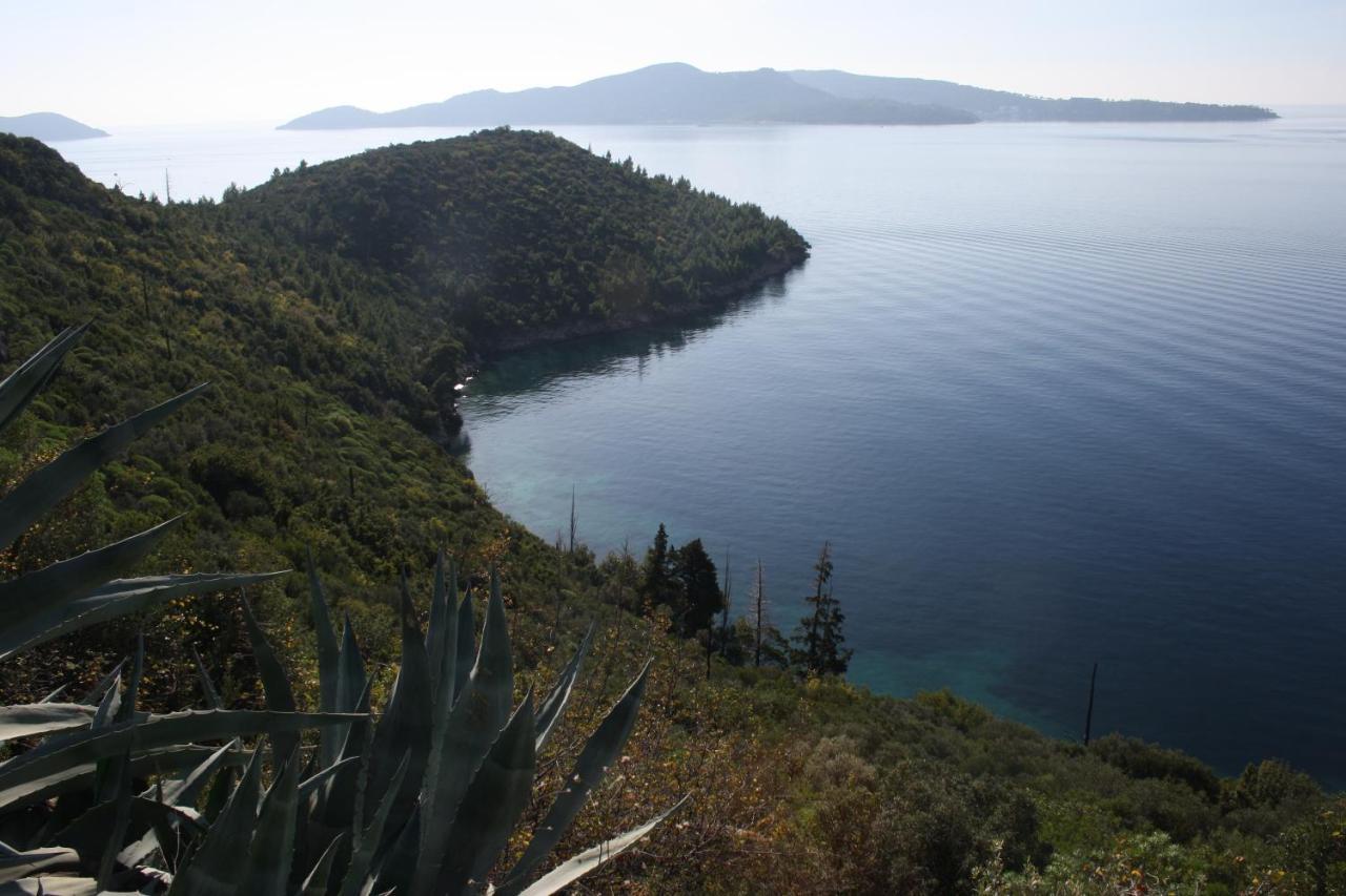 Lucija With Sea View Apartment Dubrovnik