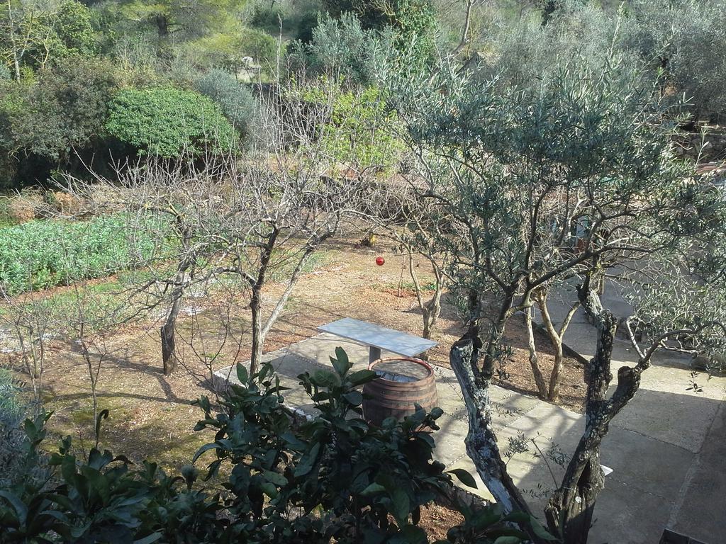 Danicic Guest house