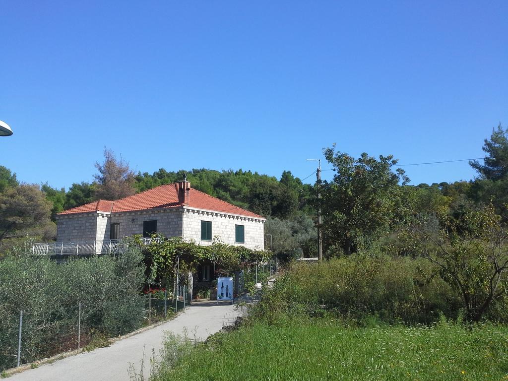 Danicic Guest house 3*