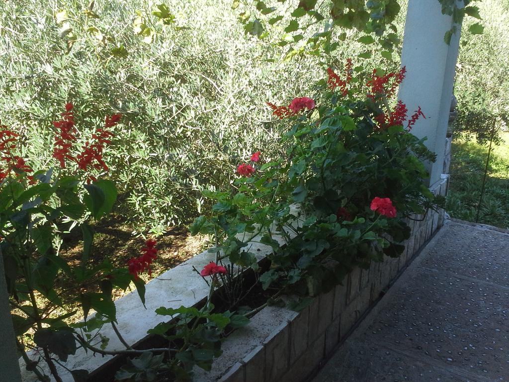 Guest house Danicic Dubrovnik