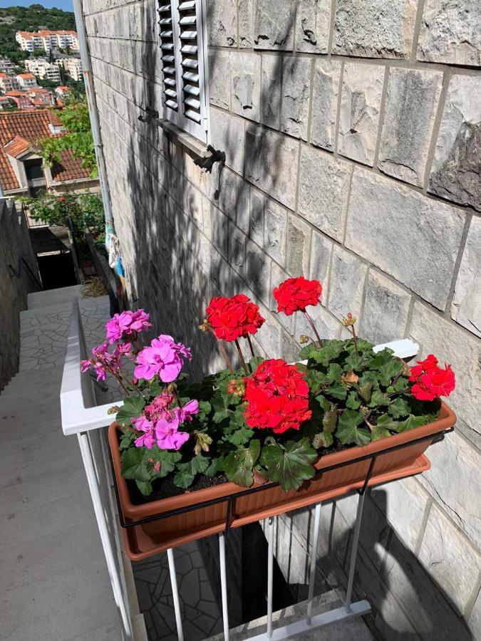 Gasthof Dubrovnik Rooms