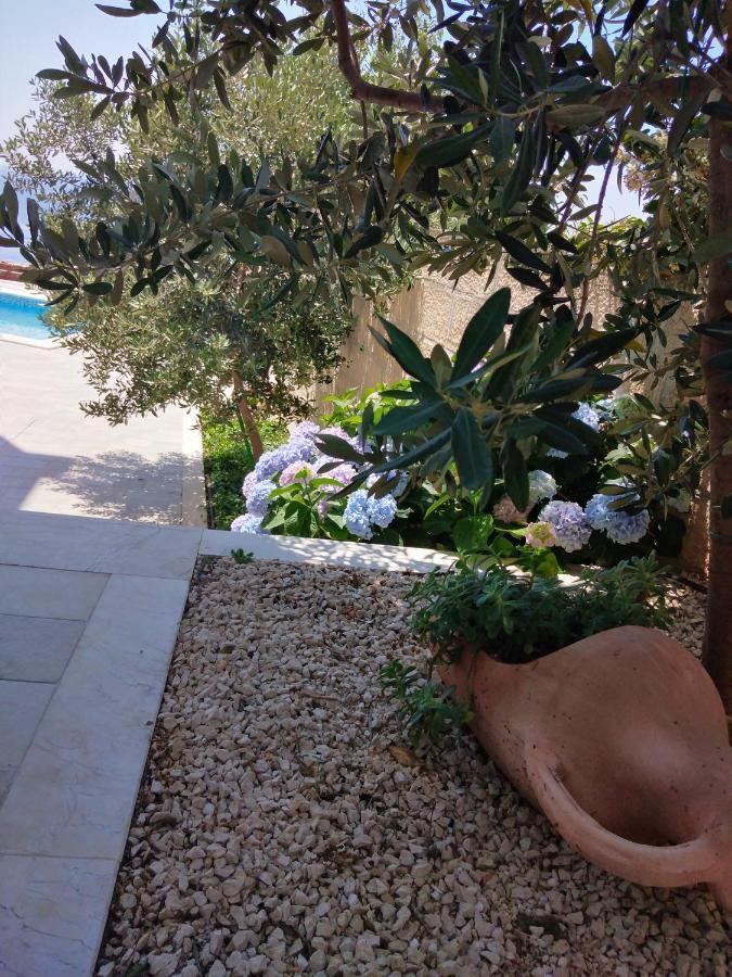 Apartment Oliva 1 Lozica