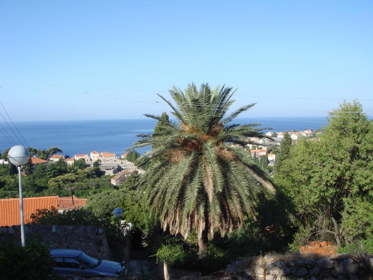 Rosetta Dubrovnik