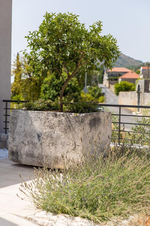 Luxury Maris 5* Dubrovnik