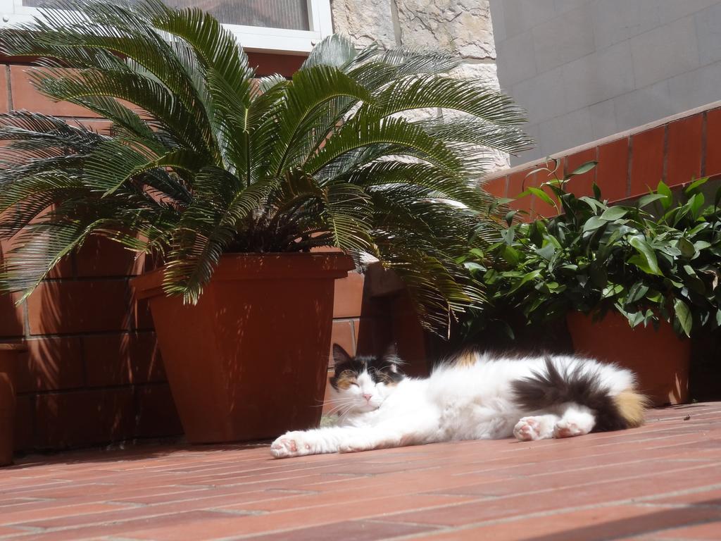 Appartement Heart Of The Dubrovnik