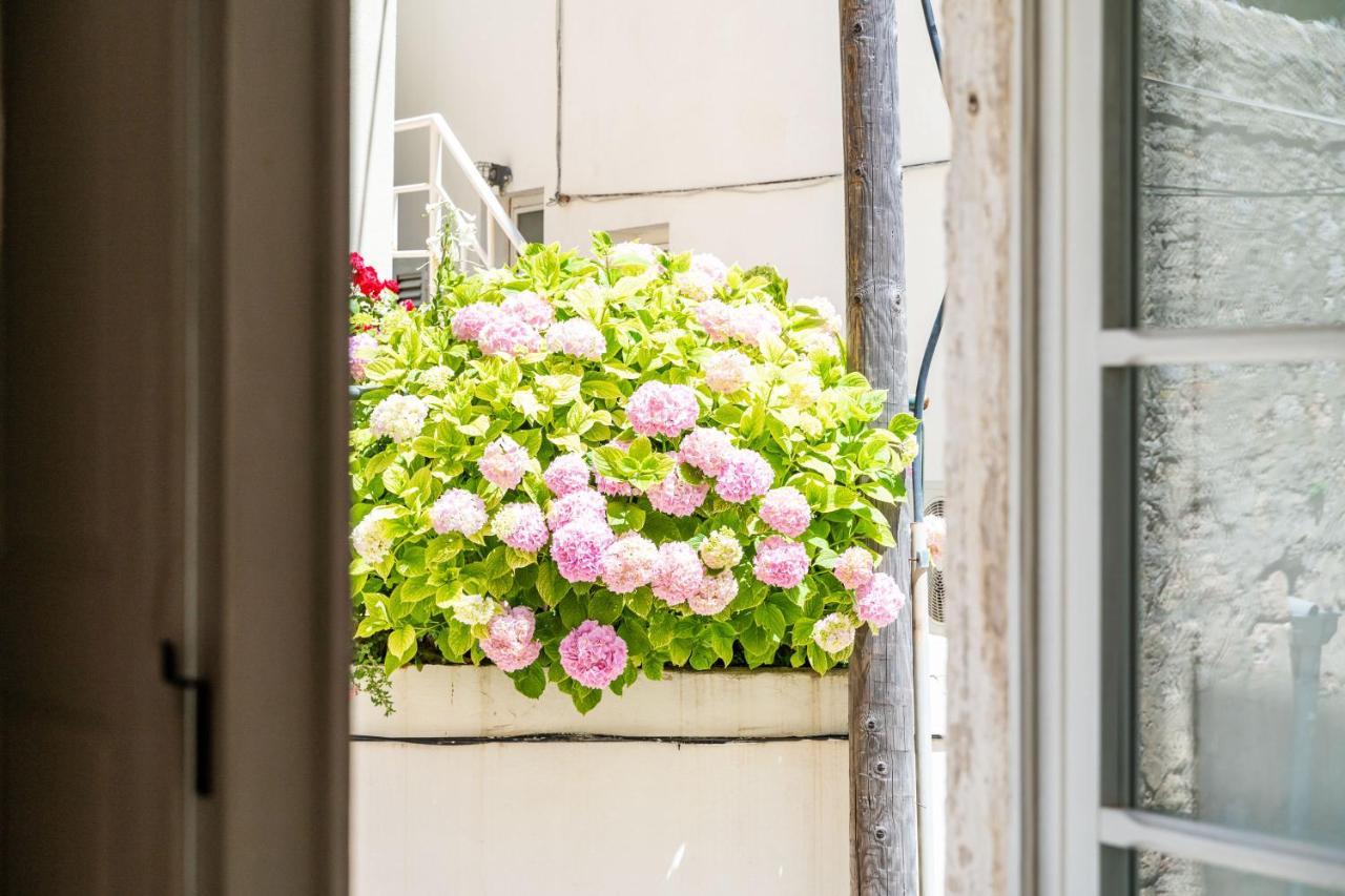 Old Town Historical Apartment