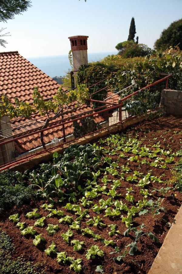 Apartment With A Parking Space - 4673 Dubrovnik