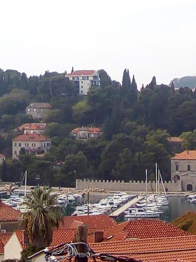 Apartment Apartman Ivana Dubrovnik