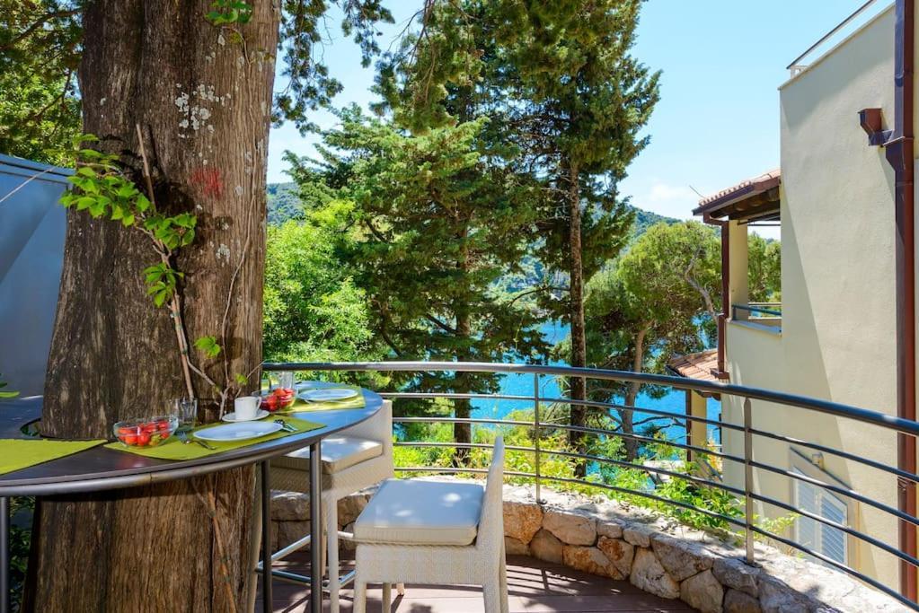 Private Oasis * Dubrovnik