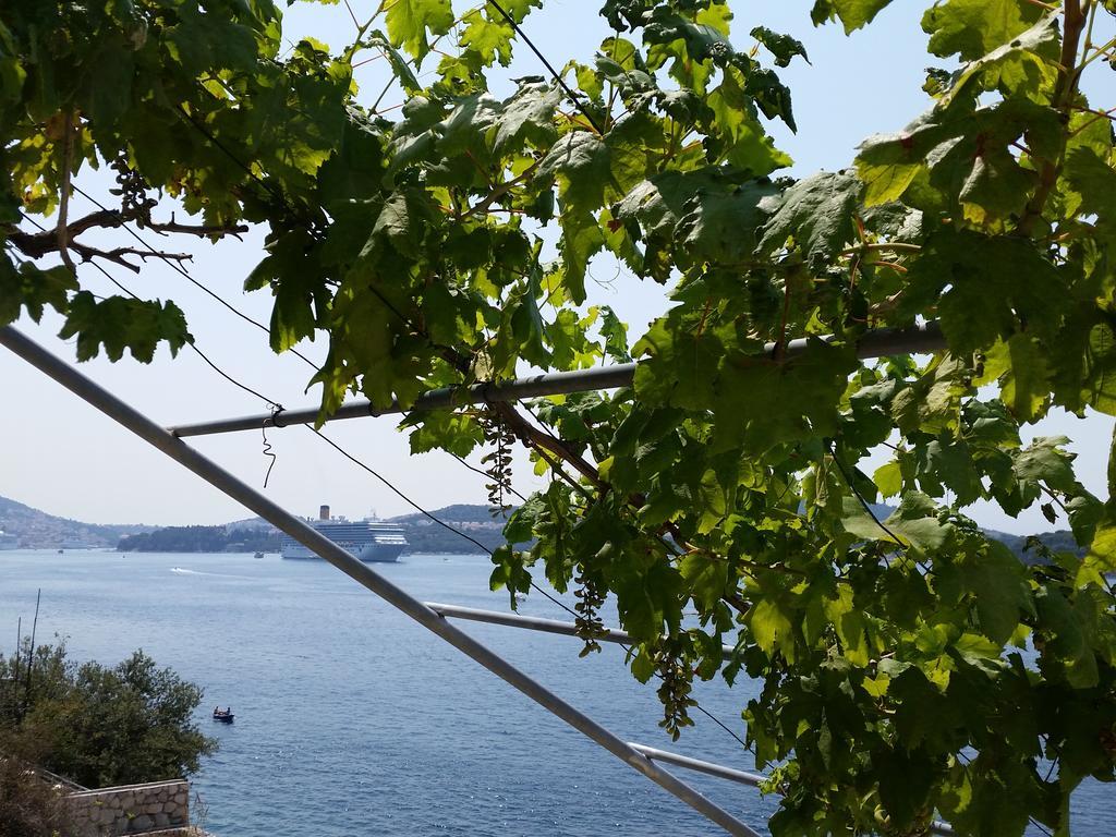 Guest house Bilos Dubrovnik