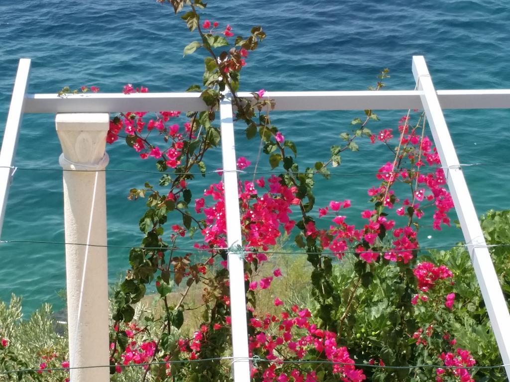 Bilos Dubrovnik