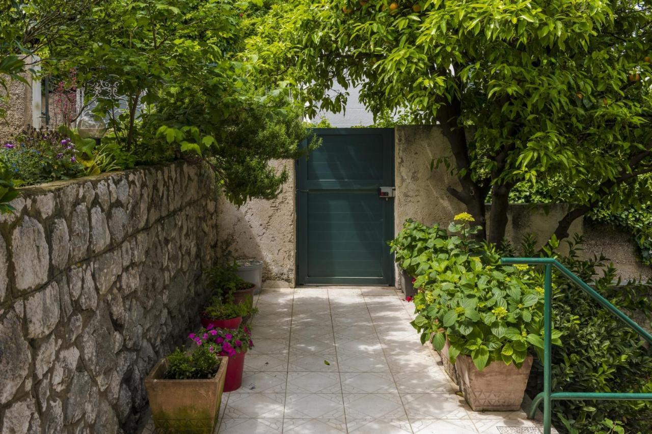 Apartment Iva