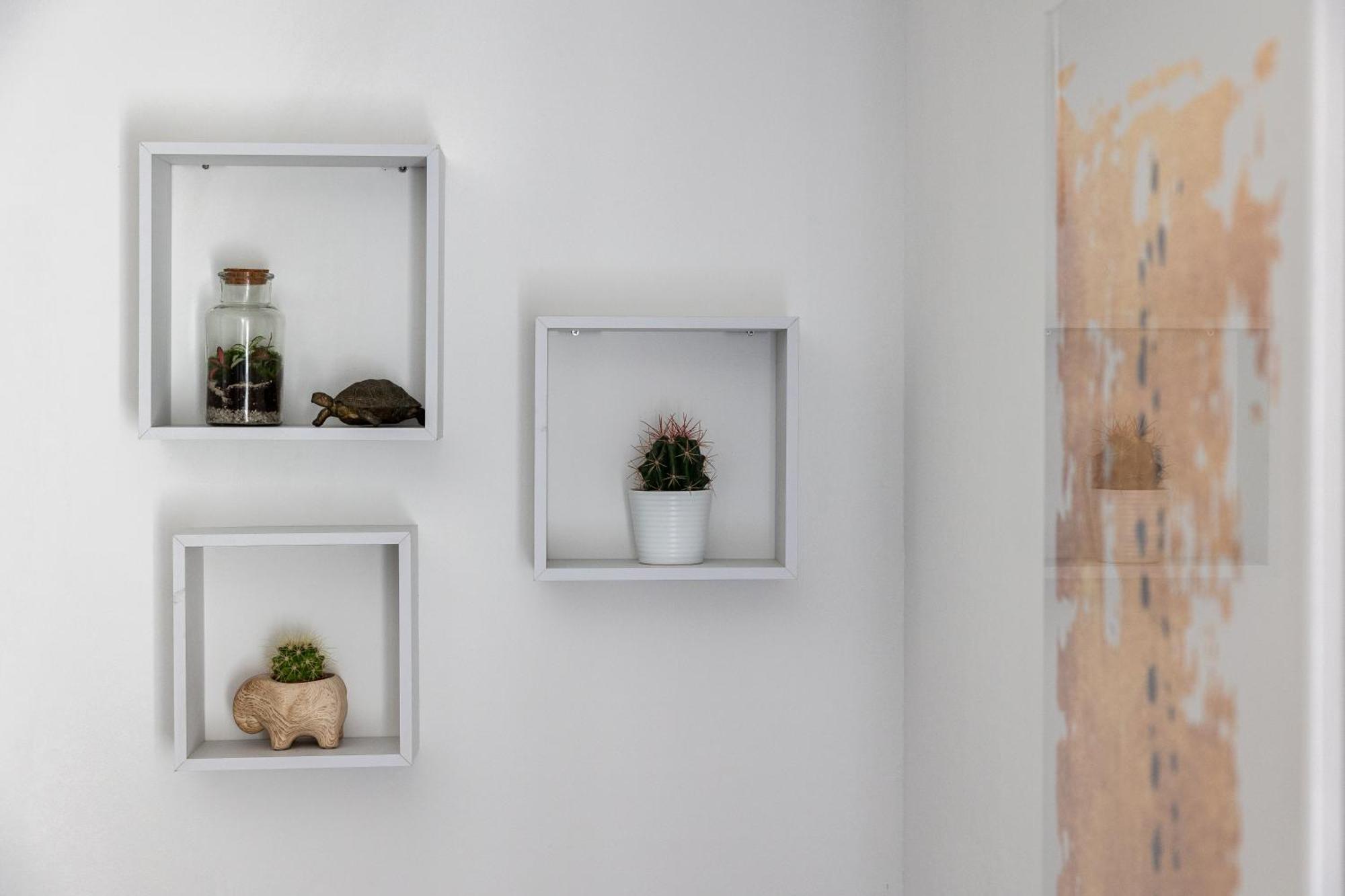 Apartment Domus *