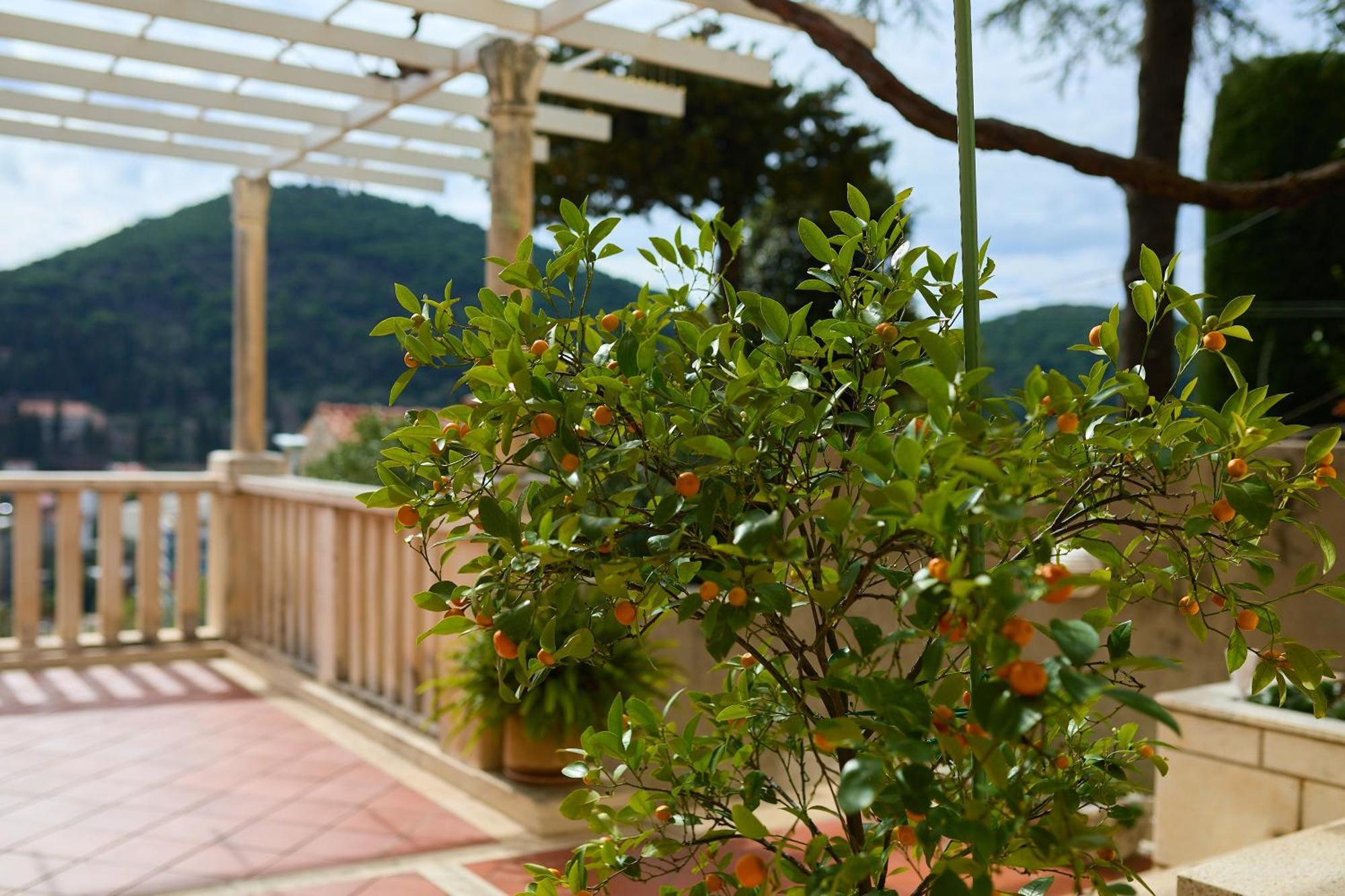 Apartment Ivana Dubrovnik
