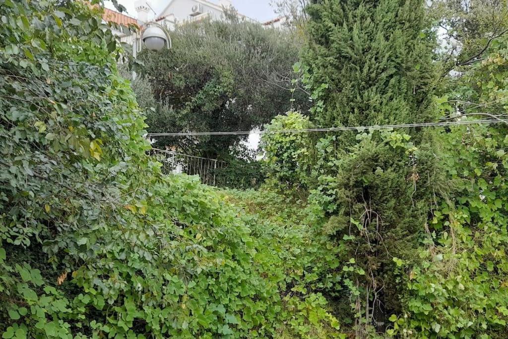 Apartment Sweet - Excellent Location *