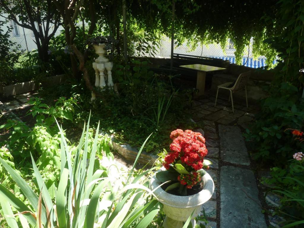 Guest house Ljubo