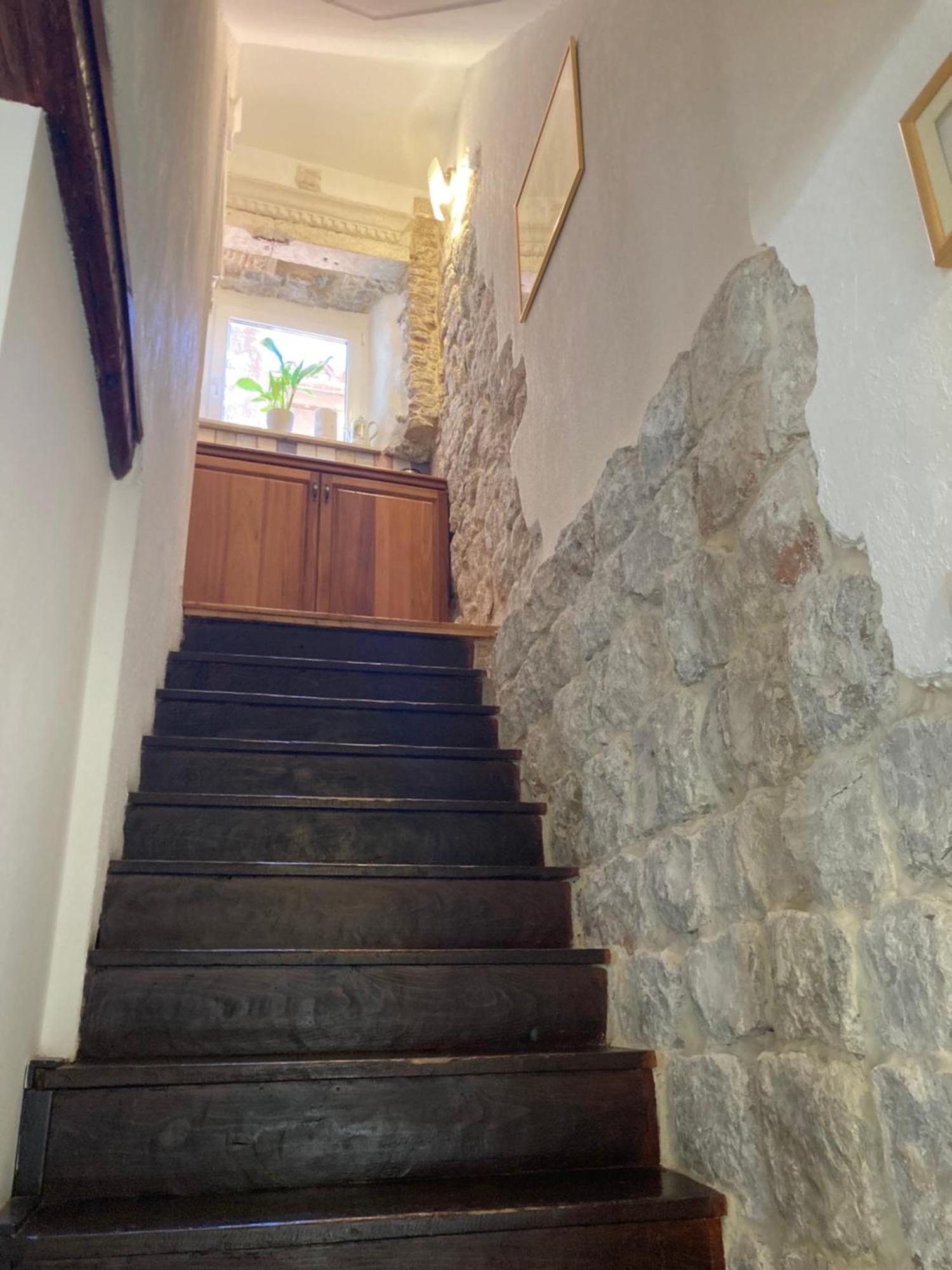 Guest house Vicelic 3*