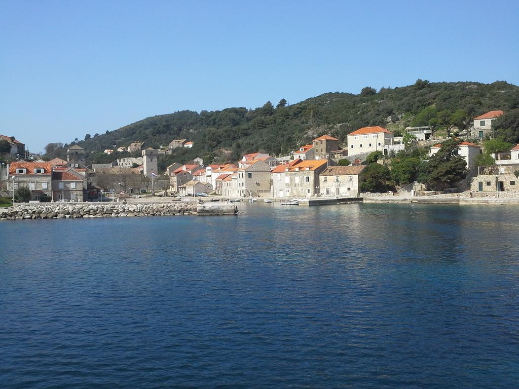 Guest house Danicic 3*