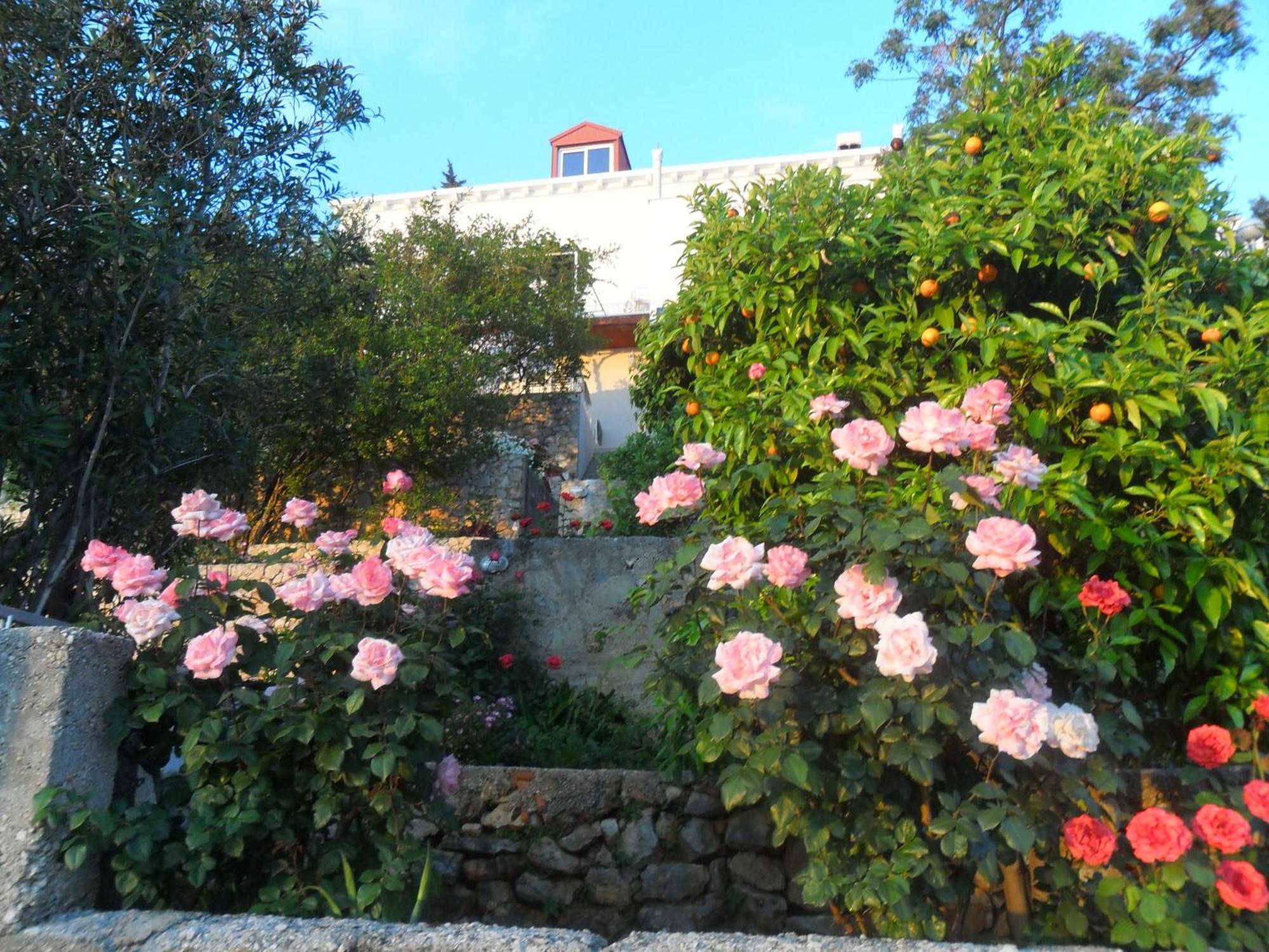 Casa de hóspedes House Smajic 3*