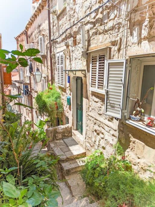 Roko, Old Town *
