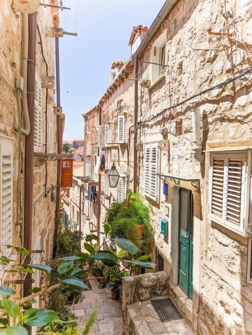 Apartment Roko, Old Town *