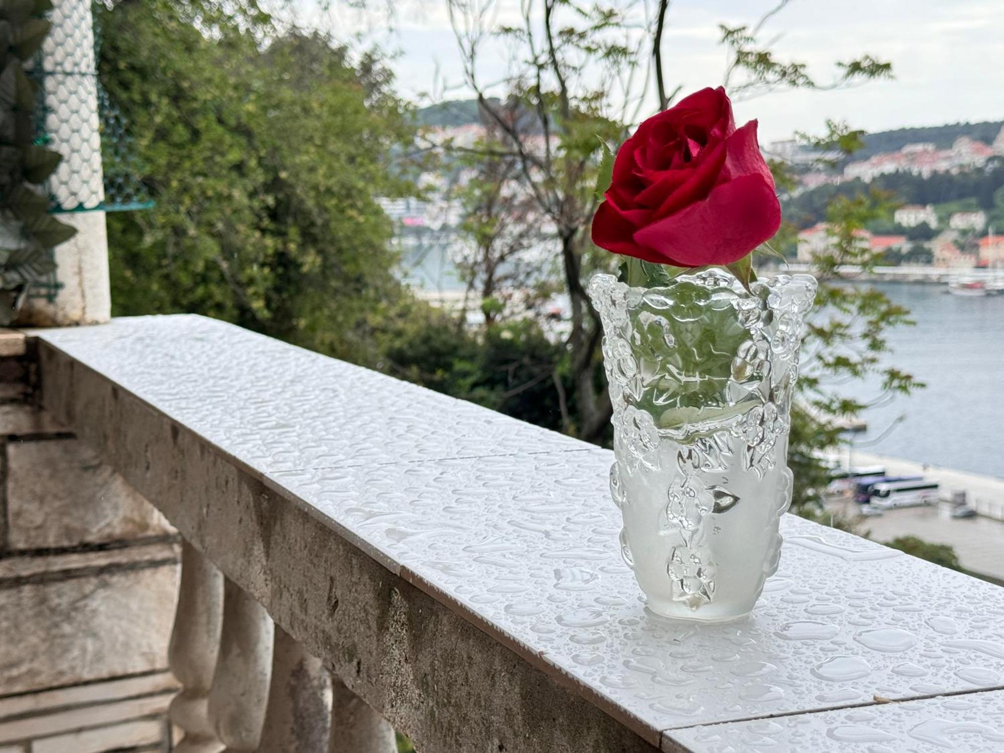 Dalmatian House, Spacious Stone Terraces, Balcony , Views Ferienhaus *