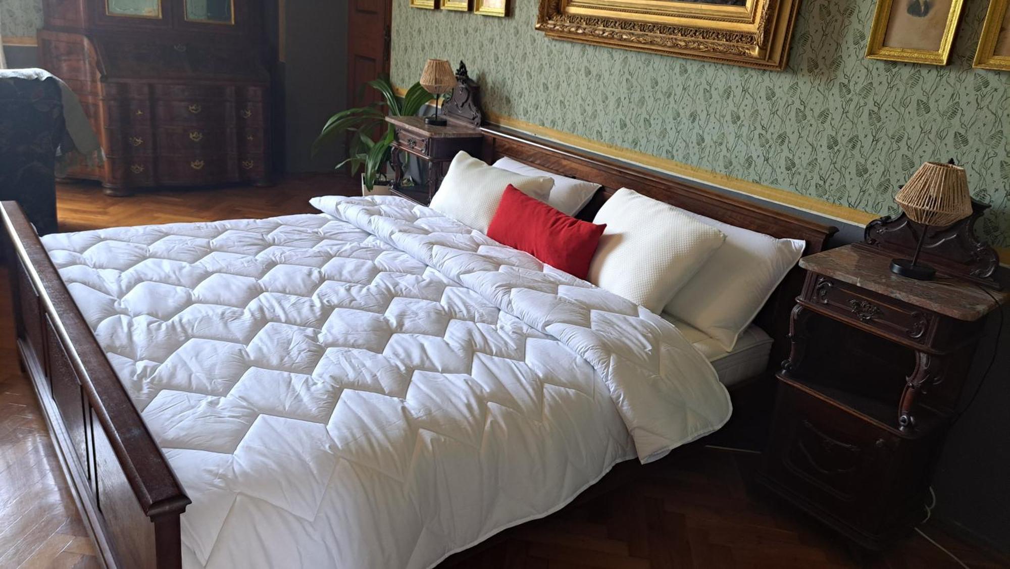 Renaissance With Terrace & Garden Dubrovnik