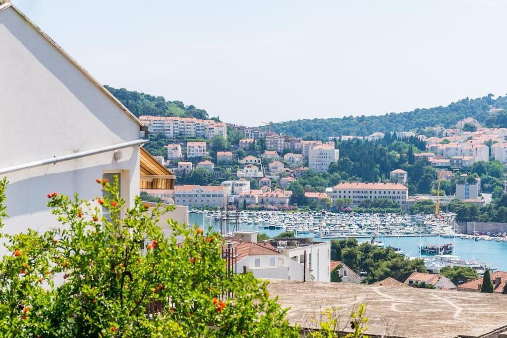 Ines Dubrovnik