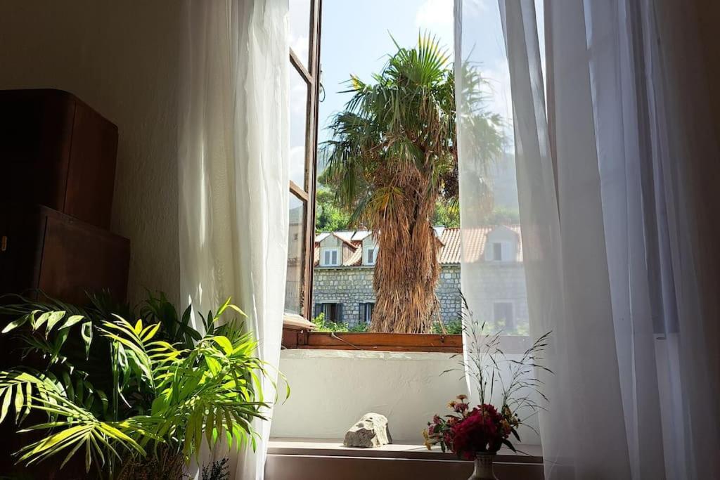 Apartment Renaissance With Terrace & Garden Dubrovnik