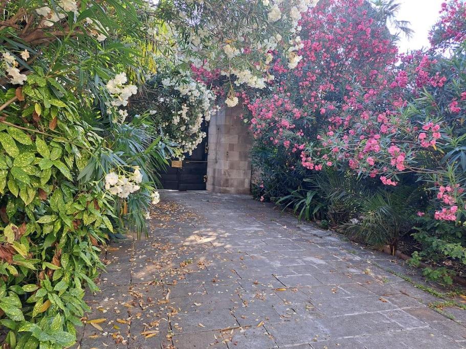 Renaissance With Terrace & Garden Apartment Dubrovnik