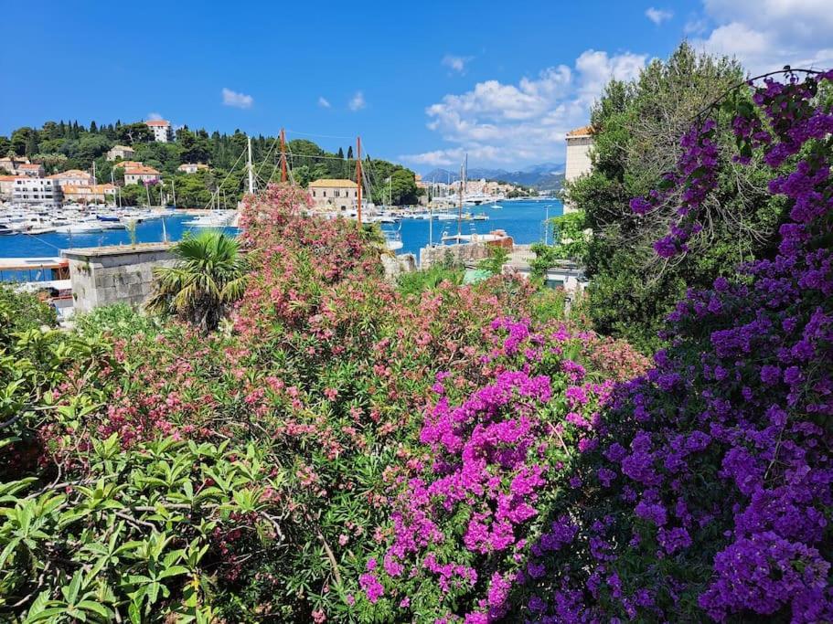 Renaissance With Terrace & Garden * Dubrovnik