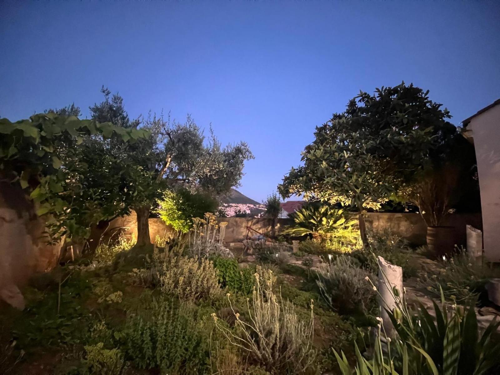 Lapad Apartment