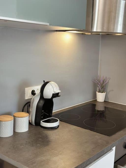 Apartment Lovely 1 Bedroom Near With Private Parking Dubrovnik