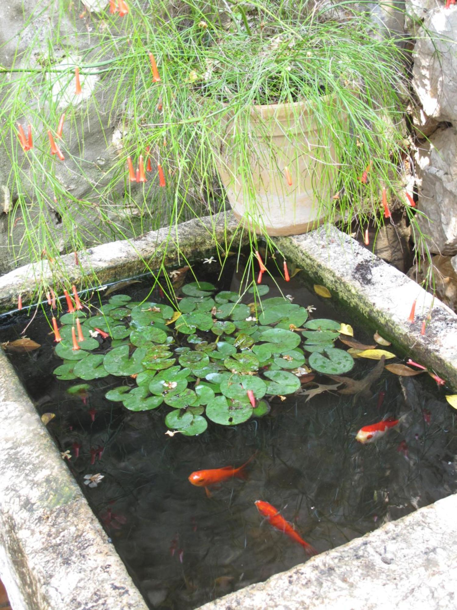 Maria Bilicic 2 Guest house Dubrovnik